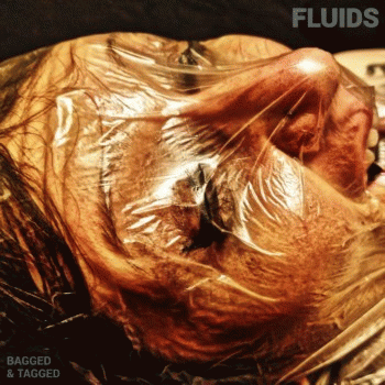 Fluids : Bagged & Tagged